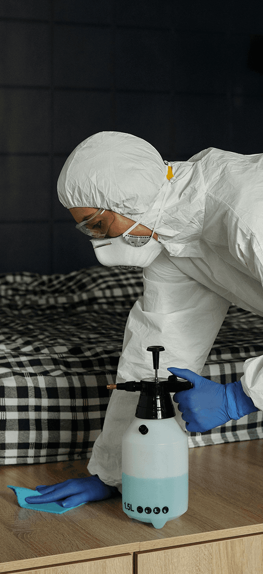 Cleaning Service