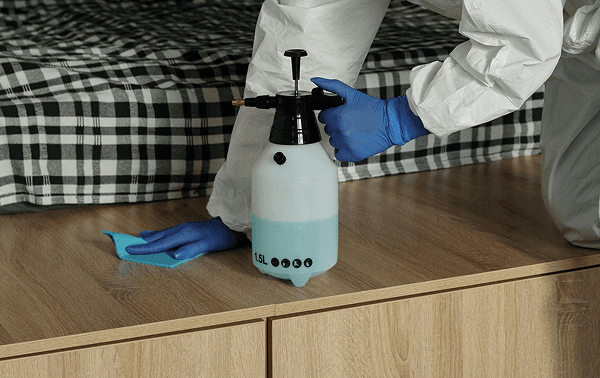 Termite Inspections