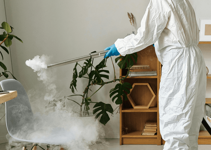 Pest Control